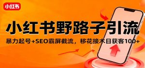 小红书野路子引流,暴力起号+SEO霸屏截流,移花接木日获客100+-瀚宇网创