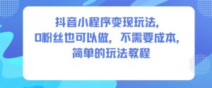 抖音小程序变现玩法，0粉丝也可以做，不需要成本，简单的玩法教程-瀚宇网创
