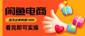 闲鱼高利润电商，当天上架当天出单，一单利润300-瀚宇网创
