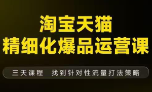猫课子幽·淘宝天猫精细化爆品运营【音频+字幕+文档】(9月12-14杭州线下课)-瀚宇网创