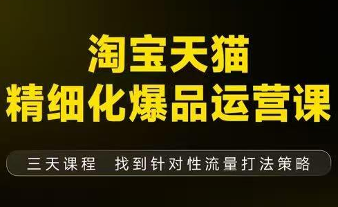 猫课子幽·淘宝天猫精细化爆品运营【音频+字幕+文档】(9月12-14杭州线下课)-瀚宇网创