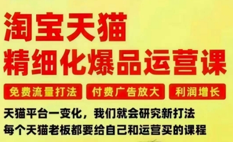 淘宝天猫精细化爆品运营课,免费流量打法-付费广告放大-利润增长-三大核心痛点,一次全部解决-瀚宇网创