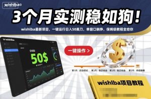 3个月实测稳如狗!wishlba最新项目,一键运行日入50美刀,单窗口躺挣,保姆级教程全给你【揭秘】-瀚宇网创
