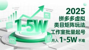2025 拼多多虚拟类目矩阵玩法，工作室批量起号，月入 1-5W 不难-瀚宇网创