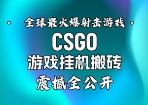 【年底大揭秘】基于全球最火爆的射击CSGO游戏挂G搬砖，日入5张+，震撼公开-瀚宇网创