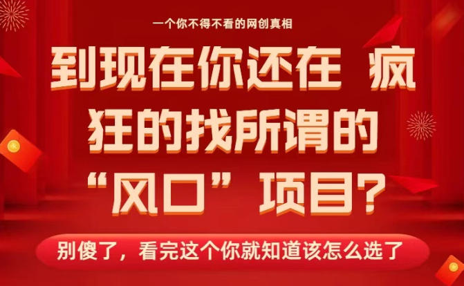 马上26年了,你还在找所谓的风口项目?别傻了,看完这个你全都懂了!【揭秘】-瀚宇网创
