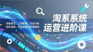 淘系系统运营进阶课2.0，流程规范、工具教学、实战诊断，进阶突破，打造高盈利店铺模型-瀚宇网创