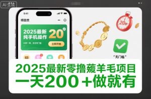 2025最新零撸薅羊毛项目，纯手机操作，20秒一单，无任何门槛，一天200+做就有【揭秘】-瀚宇网创