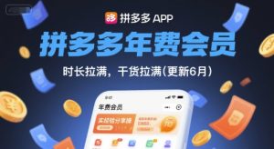 拼多多年费会员，实经验分享操，时长拉满，干货拉满(更新12月)-瀚宇网创