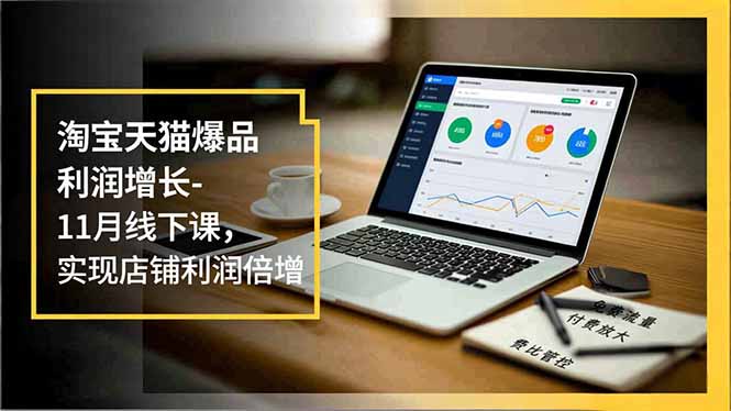 淘宝天猫爆品利润增长-11月线下课,免费流量、付费放大、费比管控,实现店铺利润倍增-瀚宇网创