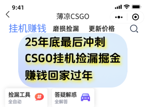 用CSGO游戏挂机捡漏掘金赚钱掘金，一部手机轻松日入500+-瀚宇网创