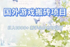 国外游戏搬砖项目，日入1k+，全自动解放双手，新手小白也可做【揭秘】-瀚宇网创