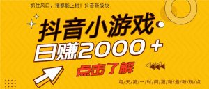 2025年爆火的抖音小游戏项目，一部手机日入2000+-瀚宇网创
