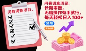 问卷调查项目，长期零撸，无脑操作有手就行，每天轻松日入100+【揭秘】-瀚宇网创