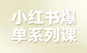 小红书爆单系列课，聚焦小红书电商全链路增长(更新)-瀚宇网创