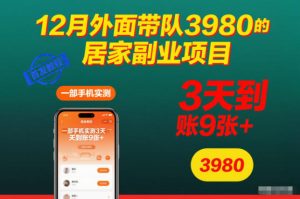 12月外面带队3980的居家副业项目，一部手机实测3天到账9张+，首发教程【揭秘】-瀚宇网创