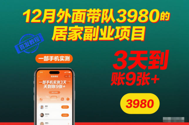 12月外面带队3980的居家副业项目,一部手机实测3天到账9张+,首发教程【揭秘】-瀚宇网创