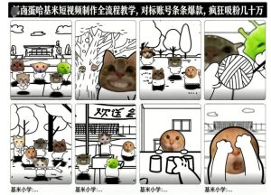 卤蛋哈基米短视频制作全流程教学，条条爆款，疯狂吸粉几十万-瀚宇网创