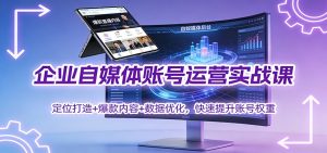 企业自媒体账号运营实战课:定位打造+ 爆款内容+数据优化,快速提升账号权重-瀚宇网创
