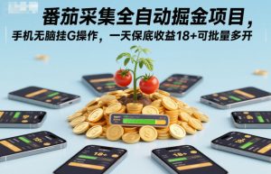 番茄采集全自动掘金项目，手机无脑挂G操作，一天保底收益18+可批量多开【揭秘】-瀚宇网创