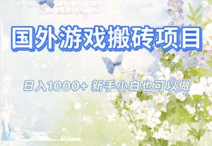 国外游戏全自动搬砖项目，日入10张，新手小白也可做，项目红利期，先搞先吃肉【揭秘】-瀚宇网创
