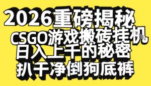 2026开年重磅解密，CSGO游戏搬砖挂G日入1k+的秘密，把倒狗的底裤扒干【揭秘】-瀚宇网创