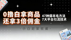 10大平台引流实操教程，白得商品倒赚3倍佣金，47种薅羊毛攻略，管道月入过万-瀚宇网创