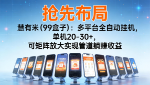 抢先布局慧有米(99盒子)：多平台全自动挂机，单机20-30+，可矩阵实现管道躺赚-瀚宇网创