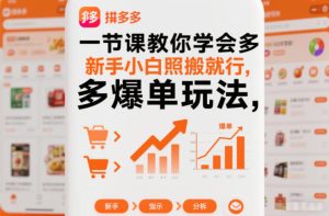 一节课教你学会拼多多爆单玩法，新手小白照搬就行-瀚宇网创