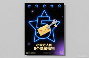 付费文章:小众之人的5个隐藏福利-瀚宇网创