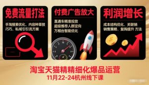 淘宝天猫精细化爆品运营11月22-24杭州线下课,免费流量打法+付费广告放大+利润增长(音频+文档)-瀚宇网创