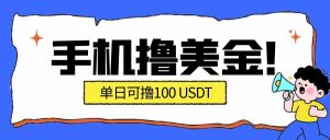 最新手机撸美金项目，单日产值100U+，2026年最新的风口项目-瀚宇网创