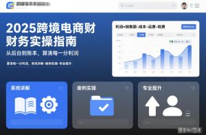 2025跨境电商财务实操指南，从后台到账本，算清每一分利润，系统讲解-案例实操-专业提升-瀚宇网创