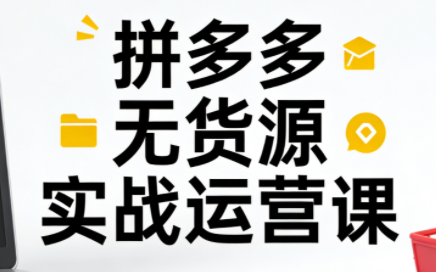 子枫老师·拼多多无货源实战运营课(更新12月)-瀚宇网创