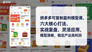 拼多多可复制盈利模型课，六大核心打法、实战复盘、灵活应用，模型清晰，稳定产出高利润-瀚宇网创