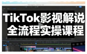 TikTok影视解说全流程实操,手把手教你打造TK爆款解说视频-瀚宇网创