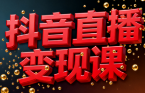 逍遥老师·抖音直播变现课-瀚宇网创