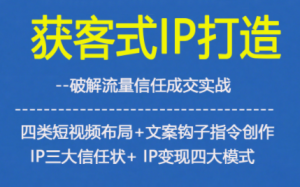 获客型IP打造,破解流量信任成,四类短视频布局+文案钩子指令创作IP三大信任状+IP变现四大模式-瀚宇网创