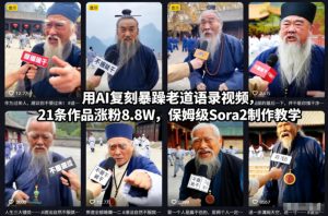 用AI复刻暴躁老道语录视频,21条作品涨粉8.8W,保姆级Sora2制作教学-瀚宇网创