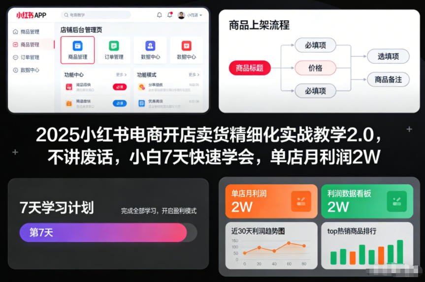 2025小红书电商开店卖货精细化实战教学2.0，不讲废话，小白7天快速学会，单店月利润2W-瀚宇网创