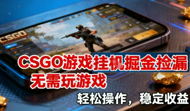 CSGO游戏挂G掘金捡漏,不需要玩游戏,操作简单,收益稳定【揭秘】-瀚宇网创