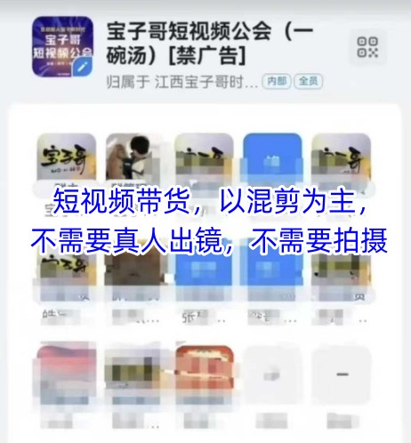 宝子哥头部团队短视频带货，以混剪为主，不需要真人出镜，不需要拍摄【更新11月】-瀚宇网创