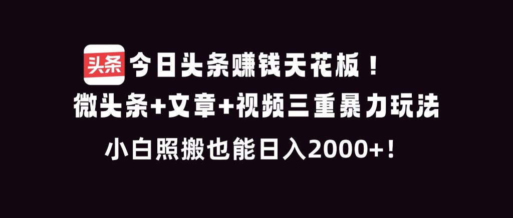 今日头条赚钱天花板！微头条+文章+视频三重暴利玩法，小白照搬也能日人2000+-瀚宇网创