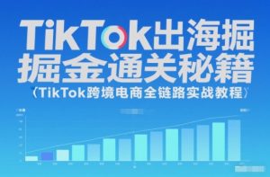 TikTok出海掘金通关秘籍,TikTok跨境电商全链路实战教程-瀚宇网创