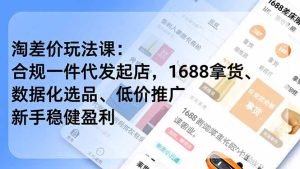 淘差价玩法课:合规一件代发起店,1688拿货、数据化选品、低价推广,新手稳健盈利(更新12月-瀚宇网创