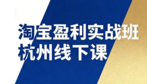 淘宝盈利实战班杭州线下课12月26-28日(音频+字幕)，帮你掌握SOP流程+12门核心技术-瀚宇网创