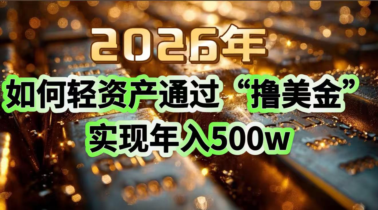 2026年如何轻资产通过“撸美金”实现年入500w-瀚宇网创