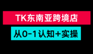 TikTok东南亚跨境从0-1认知实操课-瀚宇网创