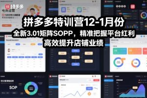 拼多多特训营12-1月份,全新3.01矩阵Sop,精准把握平台红利,高效提升店铺业绩-瀚宇网创
