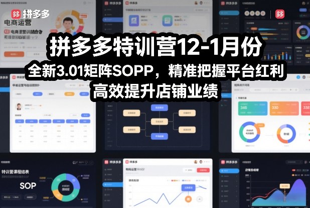 拼多多特训营12-1月份,全新3.01矩阵Sop,精准把握平台红利,高效提升店铺业绩-瀚宇网创